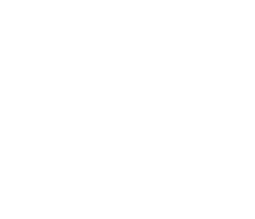 Hotel Podlasie